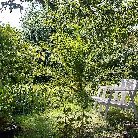 Au Detour Des Vignes
