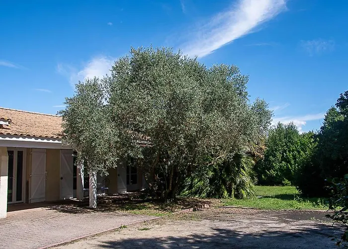 Au Détour Des Vignes Couette-café Ordonnac