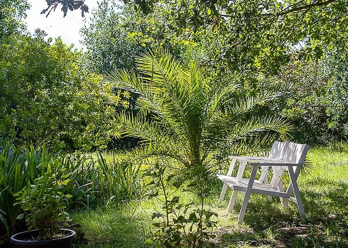 Au Détour Des Vignes